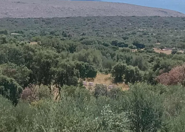 πετροχτιστο ρηνιω Semesterbostad *